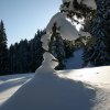 20050226_Oberegg_189
